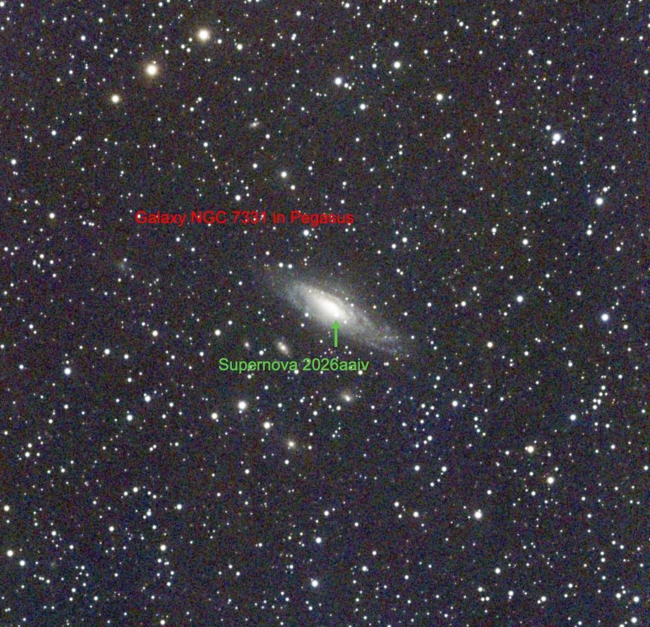 Galaxy NGC 7331 and Supernova 2026aaiv